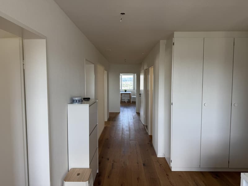 LICHTDURCHFLUTETE 4.5-ZIMMER-WOHNUNG MIT WEITSICHT (13)