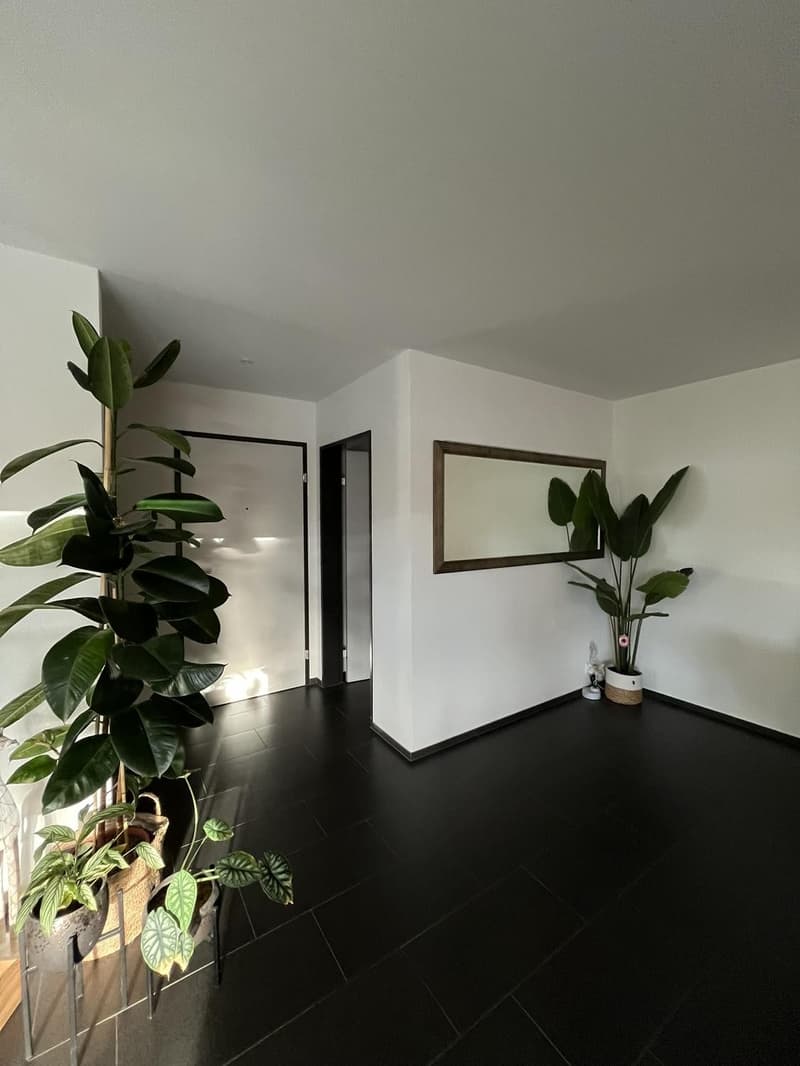3.5 Zi 95m2 Wohnung in Holziken (3)