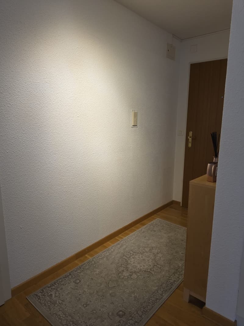 4 1/2 Zimmer Wohnung in Adliswil (5)