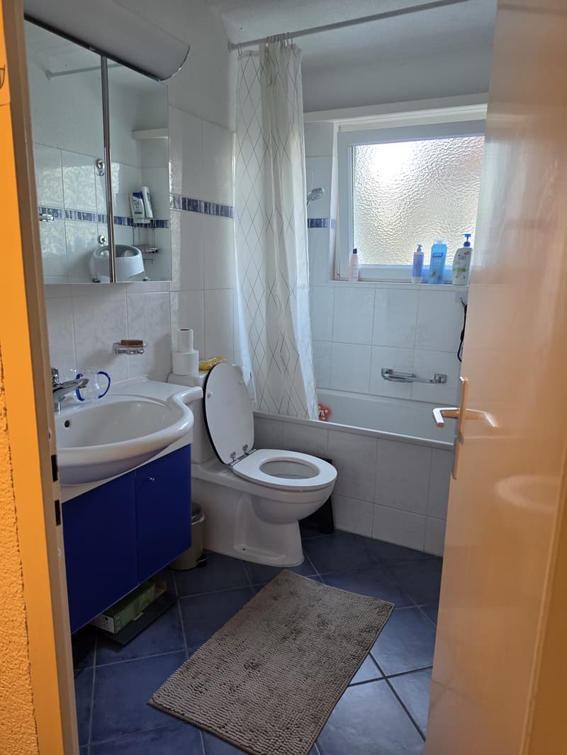 4 1/2 Zimmer Wohnung in Adliswil (10)