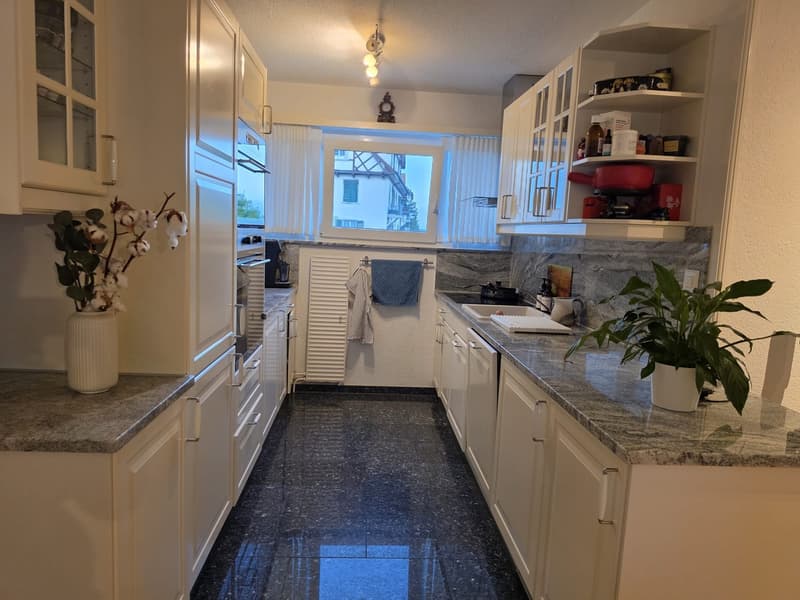 4 1/2 Zimmer Wohnung in Adliswil (8)