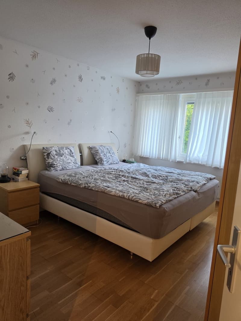 4 1/2 Zimmer Wohnung in Adliswil (2)