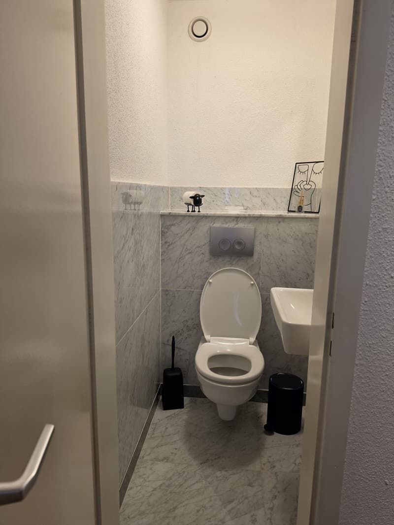 4 1/2 Zimmer Wohnung in Adliswil (6)