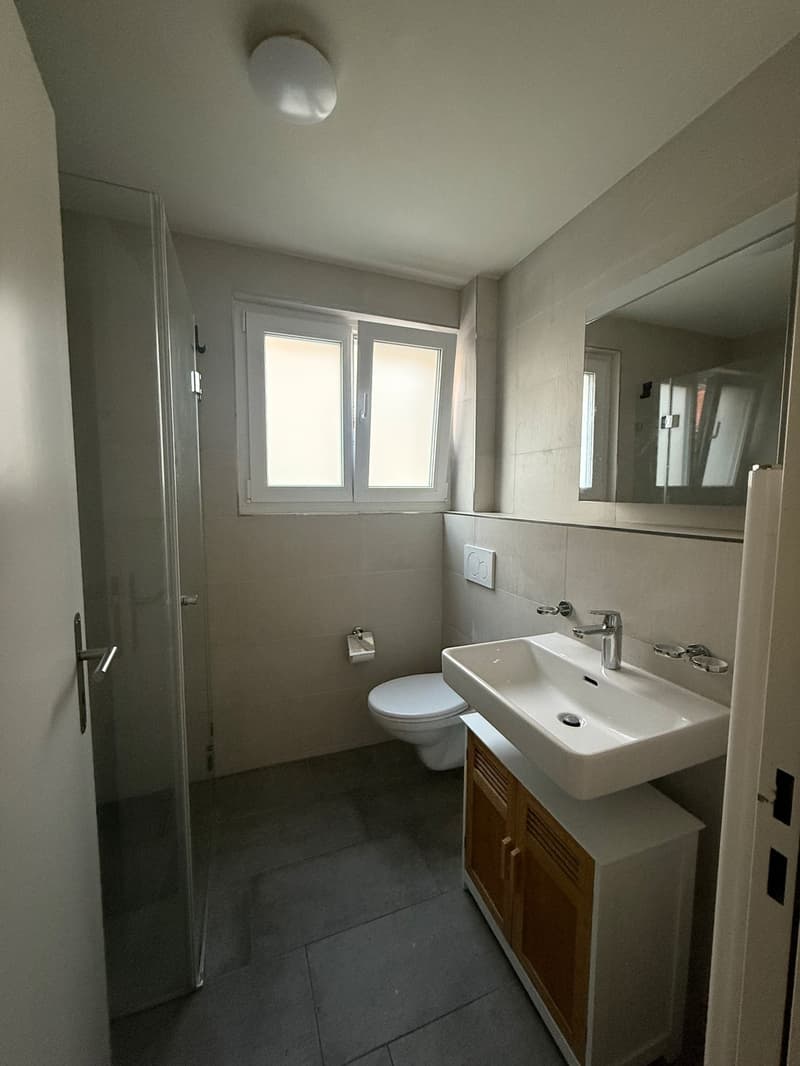 2.5-Zimmer-Wohnung mit 2 Balkonen in Zürich 8003  ab 1. November (7)