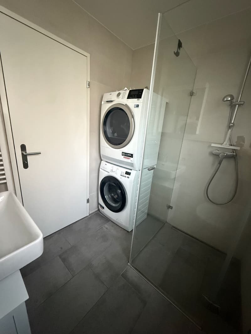 2.5-Zimmer-Wohnung mit 2 Balkonen in Zürich 8003  ab 1. November (9)