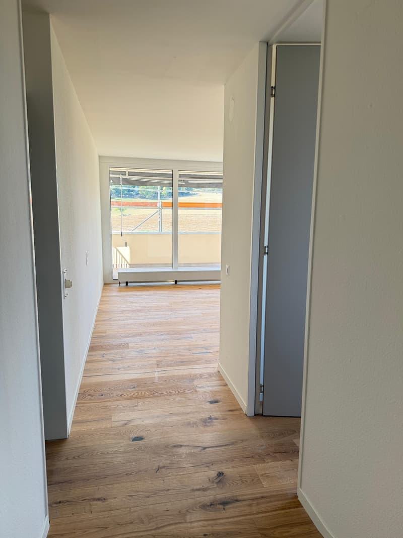 Neu sanierte 2.5-Zimmer-Wohnung mit schöner Aussicht (6)