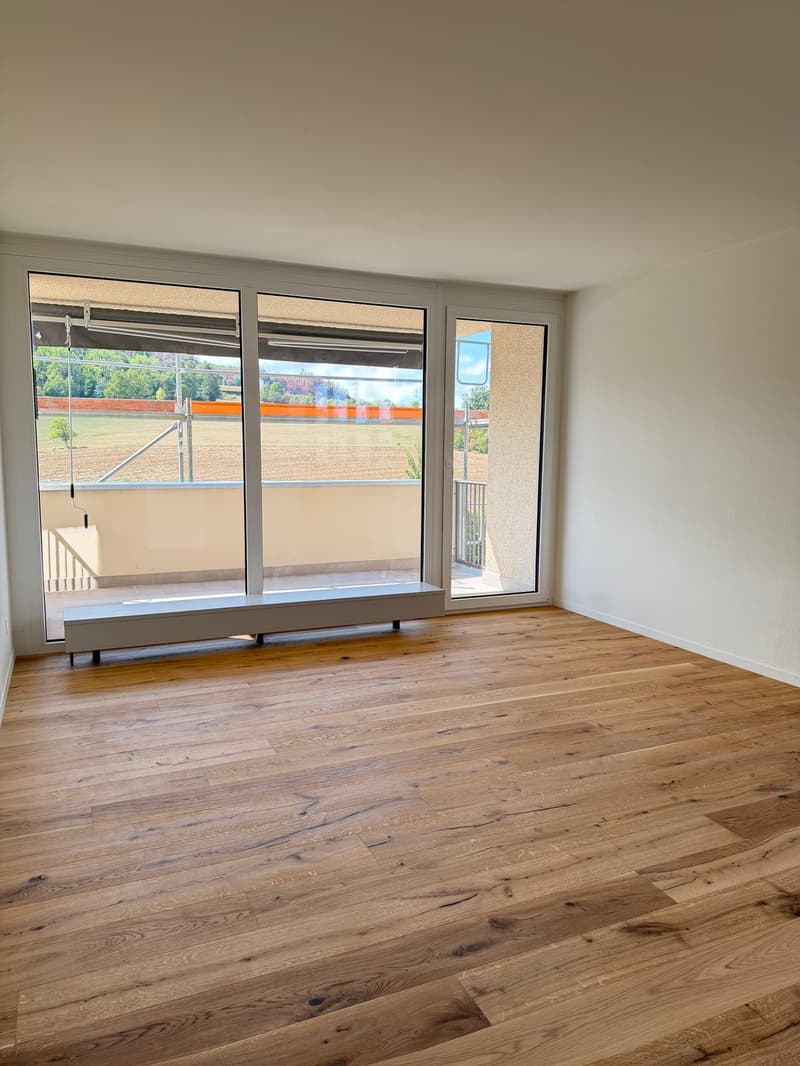 Neu sanierte 2.5-Zimmer-Wohnung mit schöner Aussicht (2)