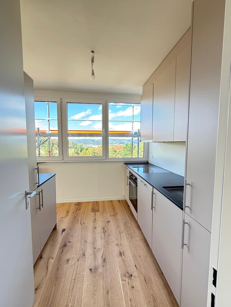 Neu sanierte 2.5-Zimmer-Wohnung mit schöner Aussicht (1)