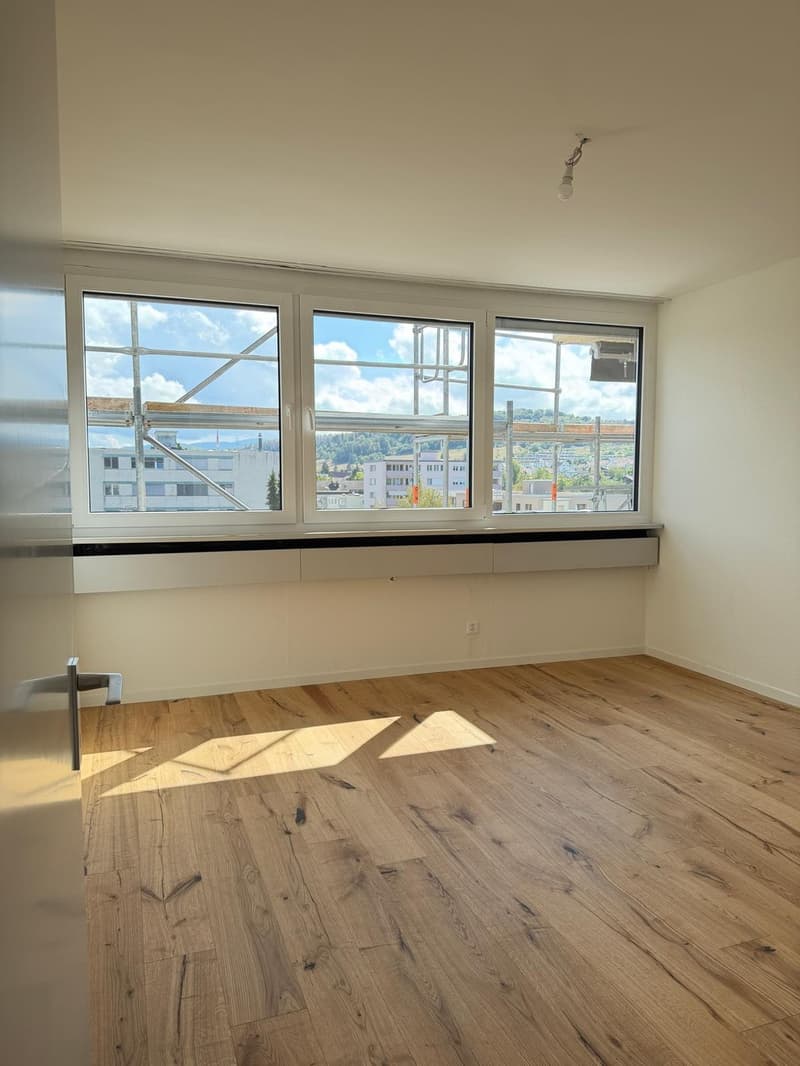 Neu sanierte 2.5-Zimmer-Wohnung mit schöner Aussicht (4)
