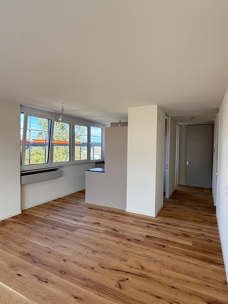 Neu sanierte 2.5-Zimmer-Wohnung mit schöner Aussicht (5)