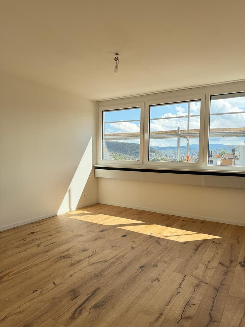 Neu sanierte 3.5-Zimmer-Wohnung mit schöner Aussicht (7)