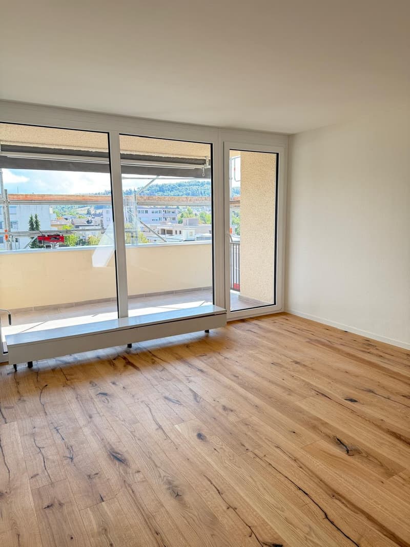 Neu sanierte 3.5-Zimmer-Wohnung mit schöner Aussicht (3)