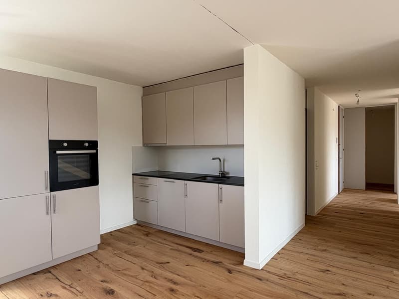 Neu sanierte 3.5-Zimmer-Wohnung mit schöner Aussicht (1)
