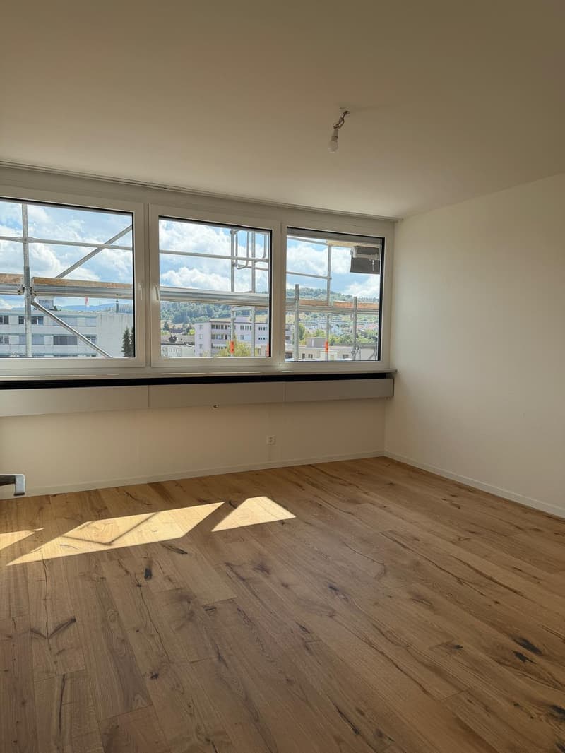 Neu sanierte 3.5-Zimmer-Wohnung mit schöner Aussicht (9)
