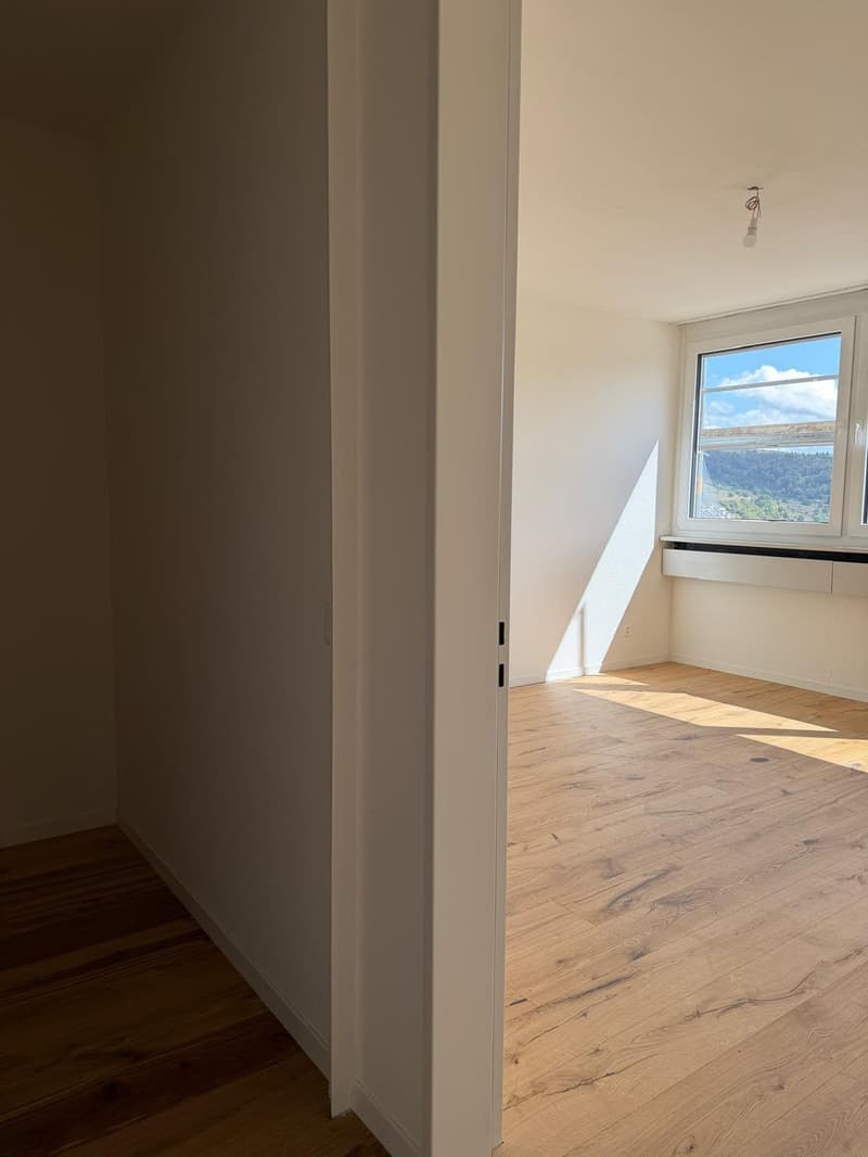 Neu sanierte 3.5-Zimmer-Wohnung mit schöner Aussicht (5)