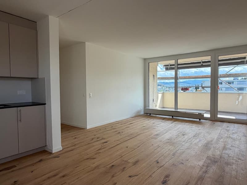 Neu sanierte 3.5-Zimmer-Wohnung mit schöner Aussicht (4)