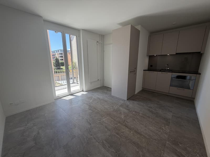 "Neu renovierte, repräsentative Wohnung an ruhiger Lage in Zürich-West" (3)