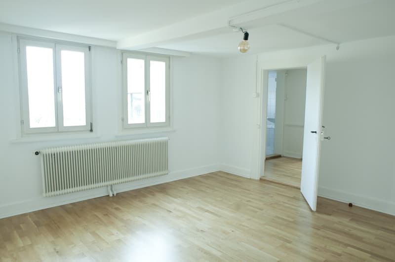 Leben in der sonnigen Altbauwohnung mit Charme / lauschige Terrasse (10)