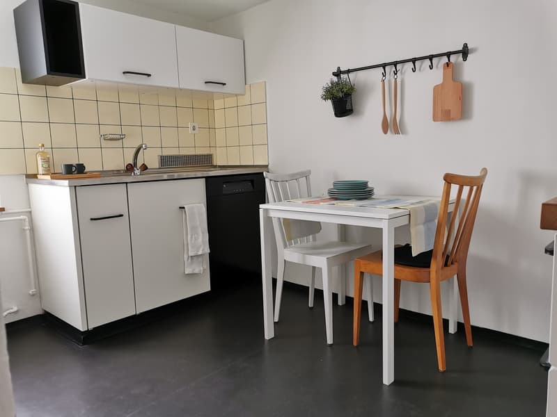 Leben in der sonnigen Altbauwohnung mit Charme / lauschige Terrasse (4)