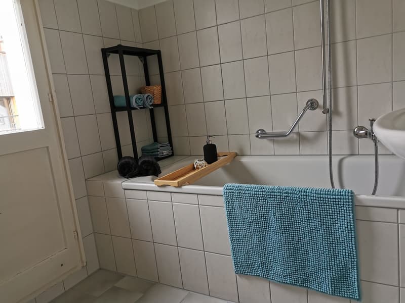 Leben in der sonnigen Altbauwohnung mit Charme / lauschige Terrasse (13)