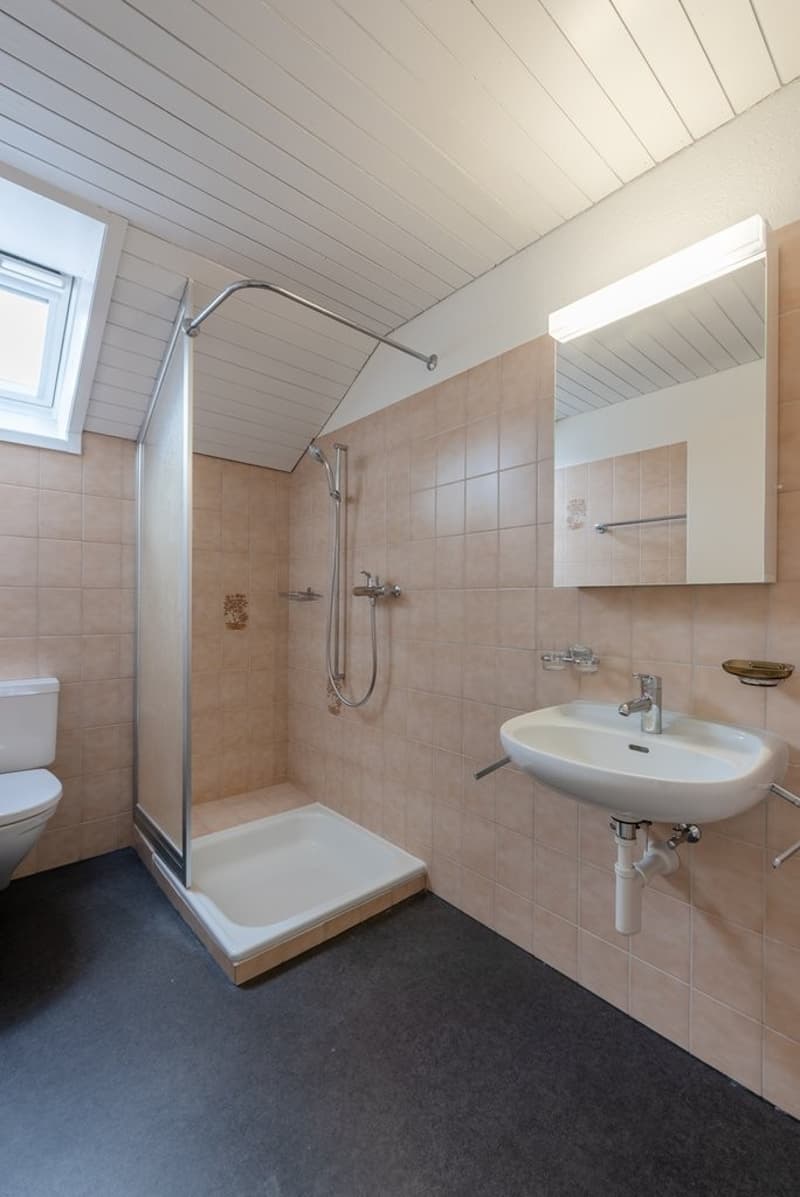 Nasszelle Dusche/WC