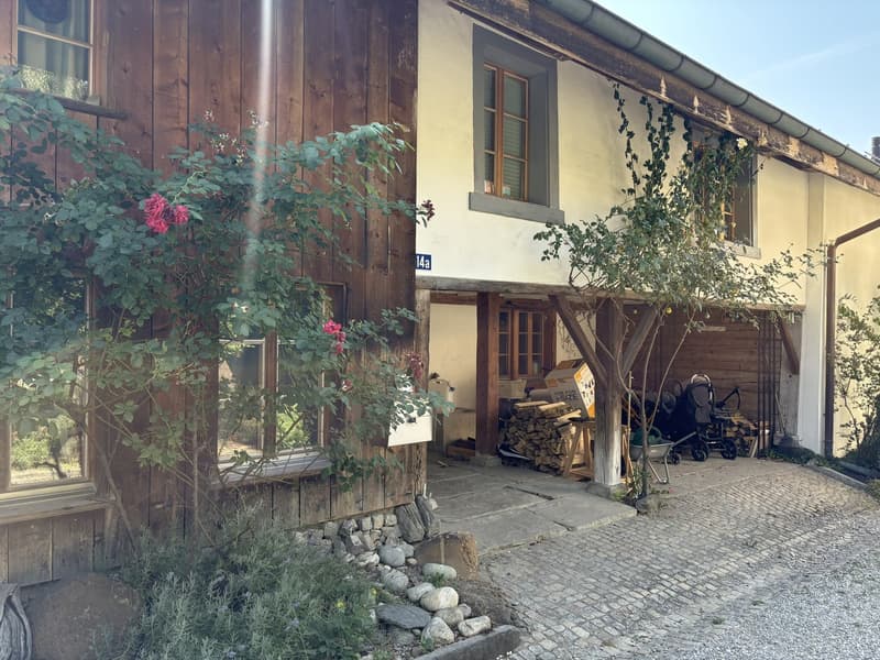 Charmantes 6.5 Zimmerhaus in Mettmenstetten (7)