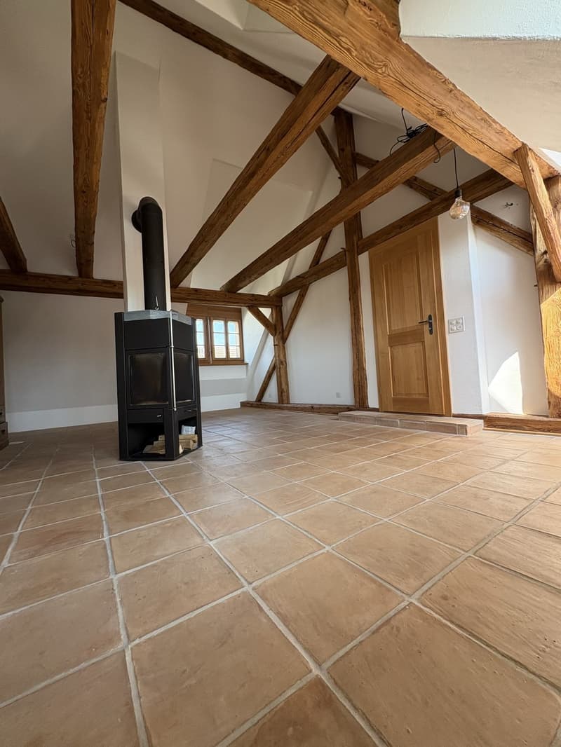 Charmantes 6.5 Zimmerhaus in Mettmenstetten (1)