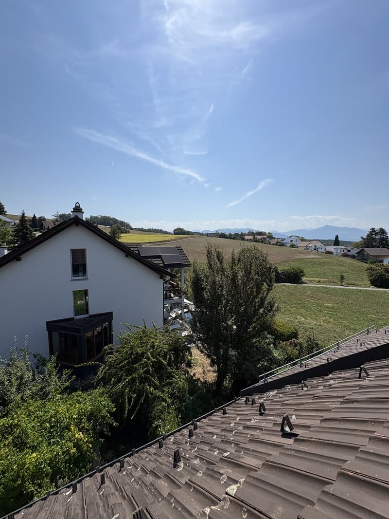 Charmantes 6.5 Zimmerhaus in Mettmenstetten (2)