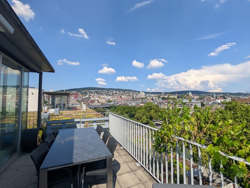Penthouse Triplex mit privater Dachterasse, 7ter Stock, 3 Min zum HB & direkt an der Sihl (2)