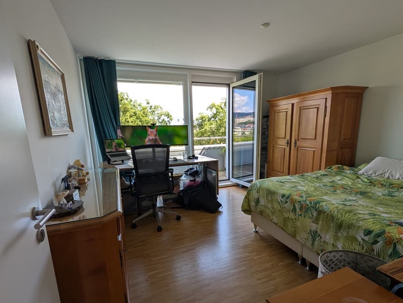 Penthouse Triplex mit privater Dachterasse, 7ter Stock, 3 Min zum HB & direkt an der Sihl (4)