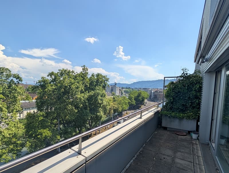 Penthouse Triplex mit privater Dachterasse, 7ter Stock, 3 Min zum HB & direkt an der Sihl (8)
