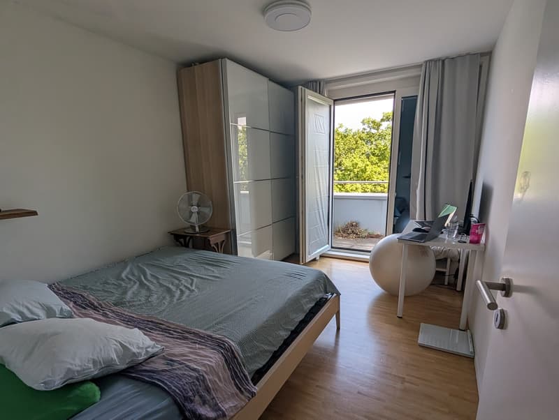 Penthouse Triplex mit privater Dachterasse, 7ter Stock, 3 Min zum HB & direkt an der Sihl (5)