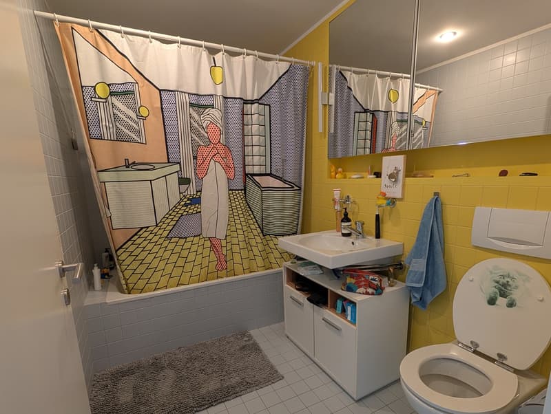 Penthouse Triplex mit privater Dachterasse, 7ter Stock, 3 Min zum HB & direkt an der Sihl (10)