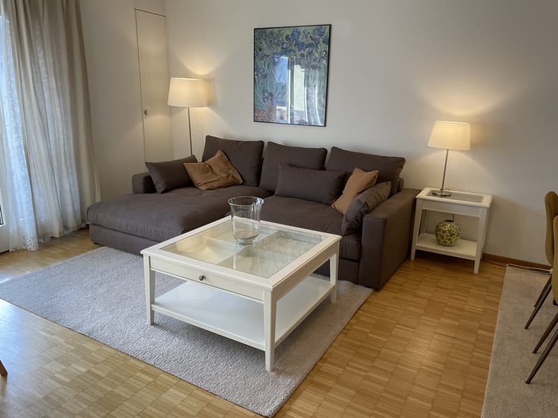 Furnished 2.5-room flat, 75 m², quiet, Oerlikon  everything included (2)