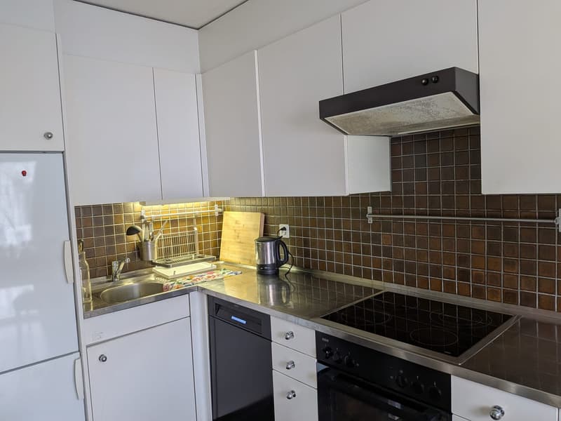 Furnished 2.5-room flat, 75 m², quiet, Oerlikon  everything included (5)