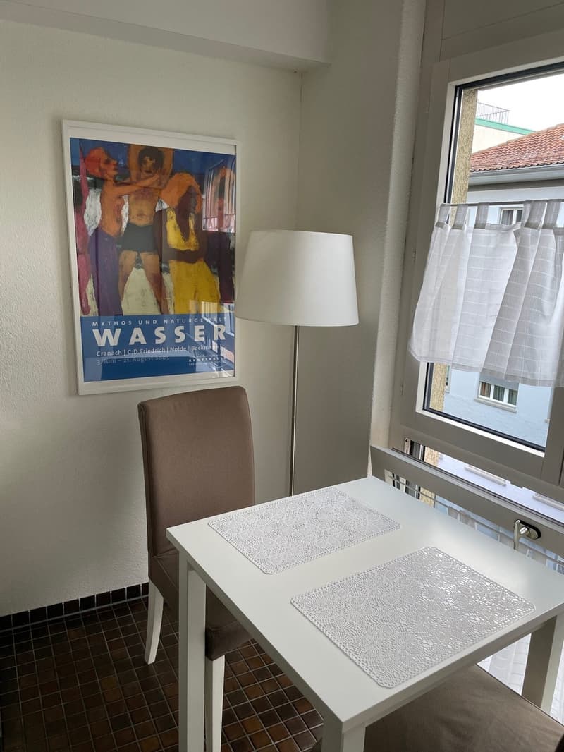 Furnished 2.5-room flat, 75 m², quiet, Oerlikon  everything included (4)