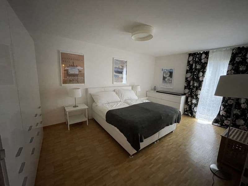 Furnished 2.5-room flat, 75 m², quiet, Oerlikon  everything included (6)