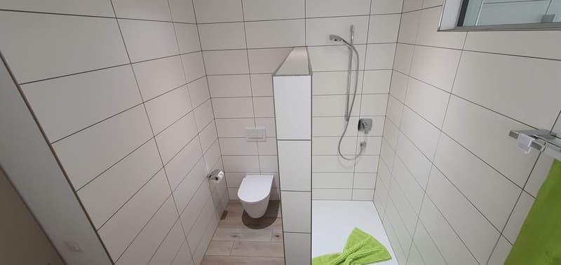 Grosszügige 5.5-Zimmer-Wohnung mit 178 m2, Garage und E-Ladestation (13)
