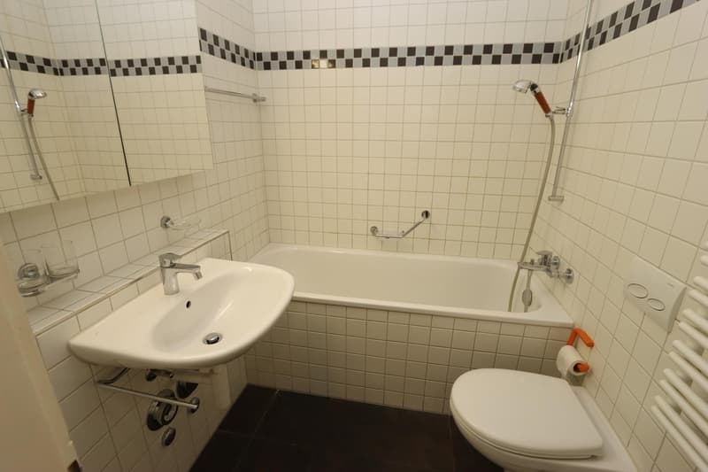 ATTRAKTIVE, GERÄUMIGE 3 ZIMMERWOHNUNG AN GUTER LAGE (11)