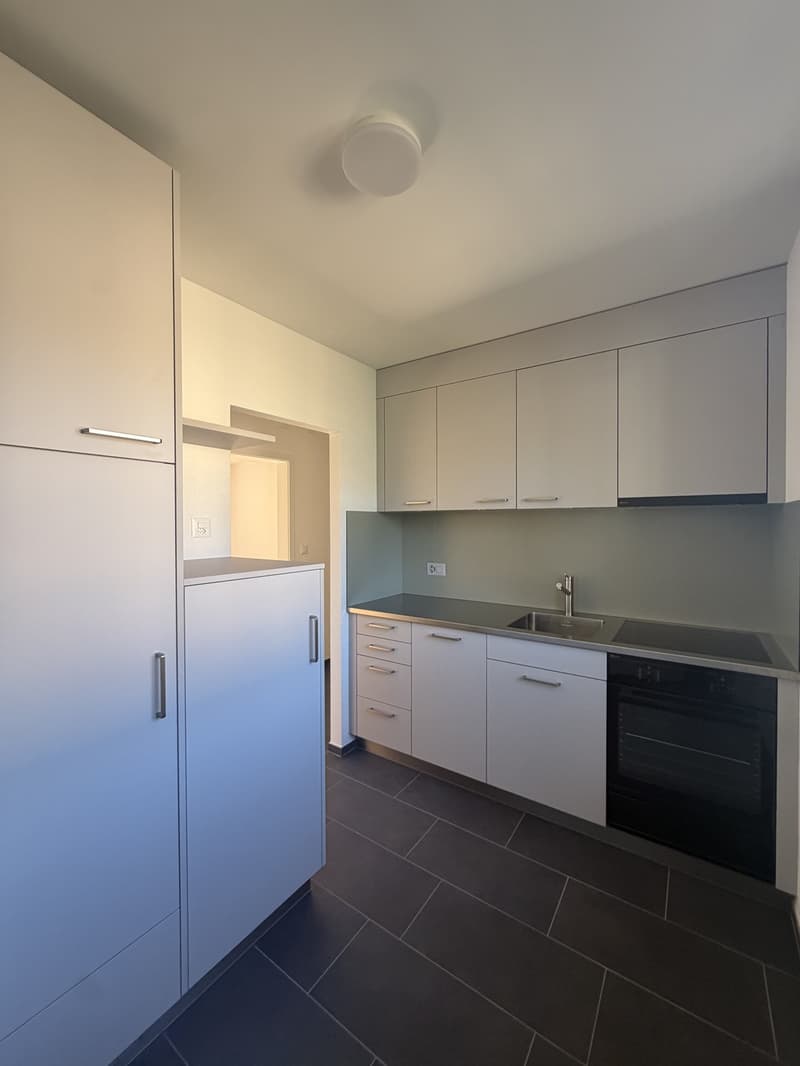Helle, neu sanierte 2.5-Zimmer-Wohnungen am Aarmattweg 53 (8)