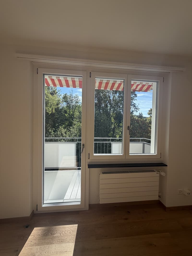 Helle, neu sanierte 2.5-Zimmer-Wohnungen am Aarmattweg 53 (3)