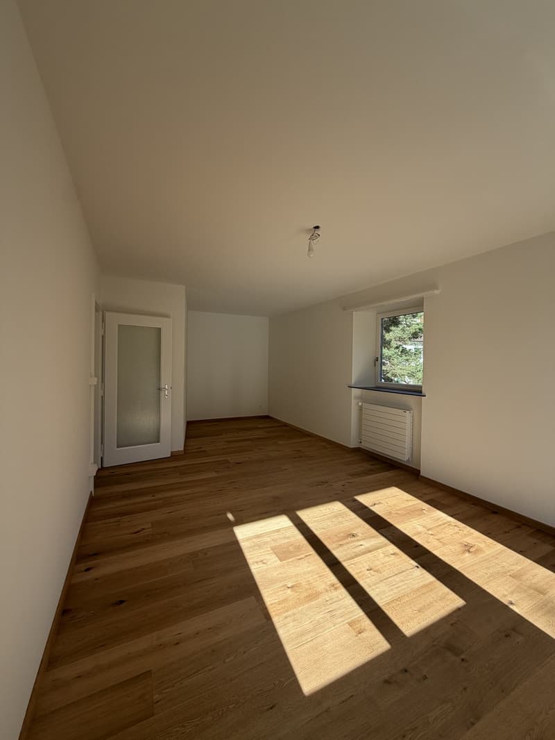 Helle, neu sanierte 2.5-Zimmer-Wohnungen am Aarmattweg 53 (5)