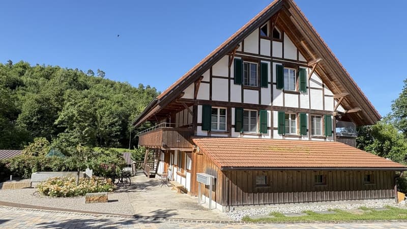 Tolle 2.5-Zi.-Dachwohnung plus Galerie an idyllischer Lage nah bei Laupen, inkl. 2 Autounterstände mit e-mobility Anschluss (5)