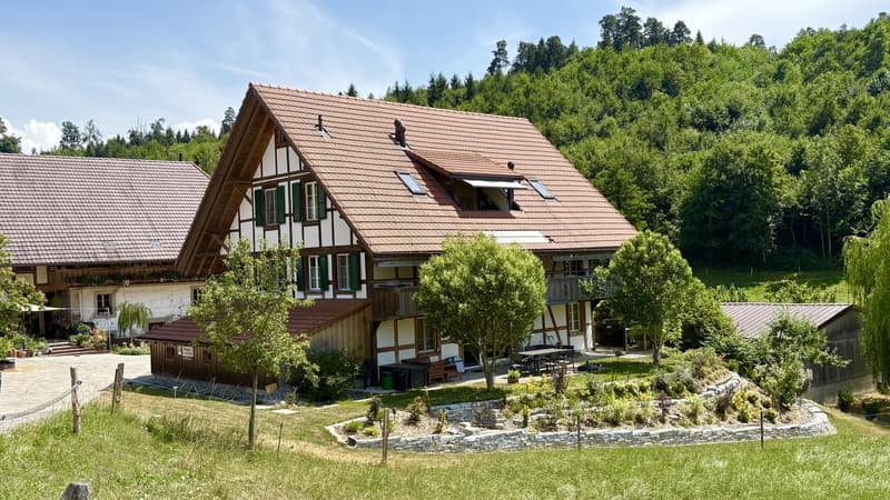 Tolle 2.5-Zi.-Dachwohnung plus Galerie an idyllischer Lage nah bei Laupen, inkl. 2 Autounterstände mit e-mobility Anschluss (2)