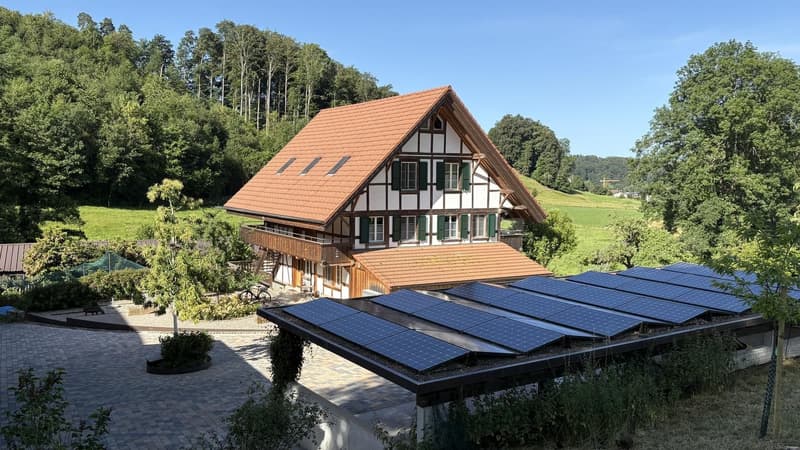 Tolle 2.5-Zi.-Dachwohnung plus Galerie an idyllischer Lage nah bei Laupen, inkl. 2 Autounterstände mit e-mobility Anschluss (3)