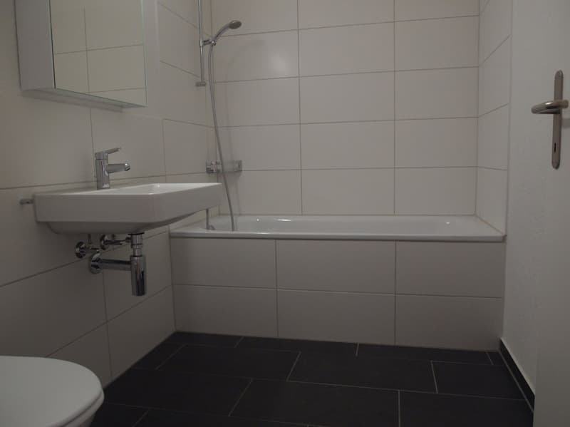 4.5-Zimmer-Gartenwohnung im Erdgeschoss, 101 m² mit Sitzplatz ins Grüne (6)