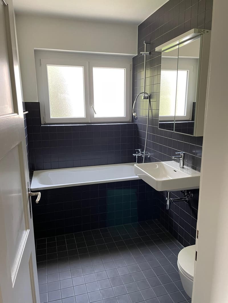 4-Zimmer-Altbauwohnung mit grosser Terrasse an sonniger und zentraler Lage (4)
