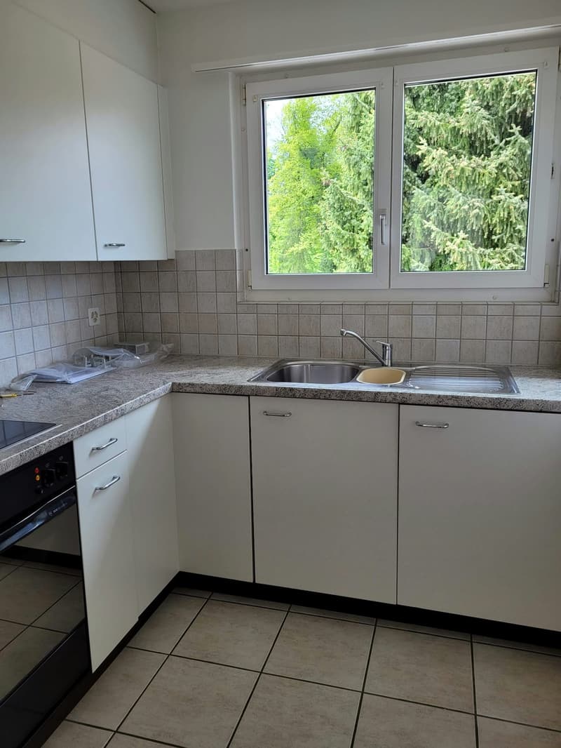 3.5 Zimmerwohnung Bezugstermin bald möglichst (1)
