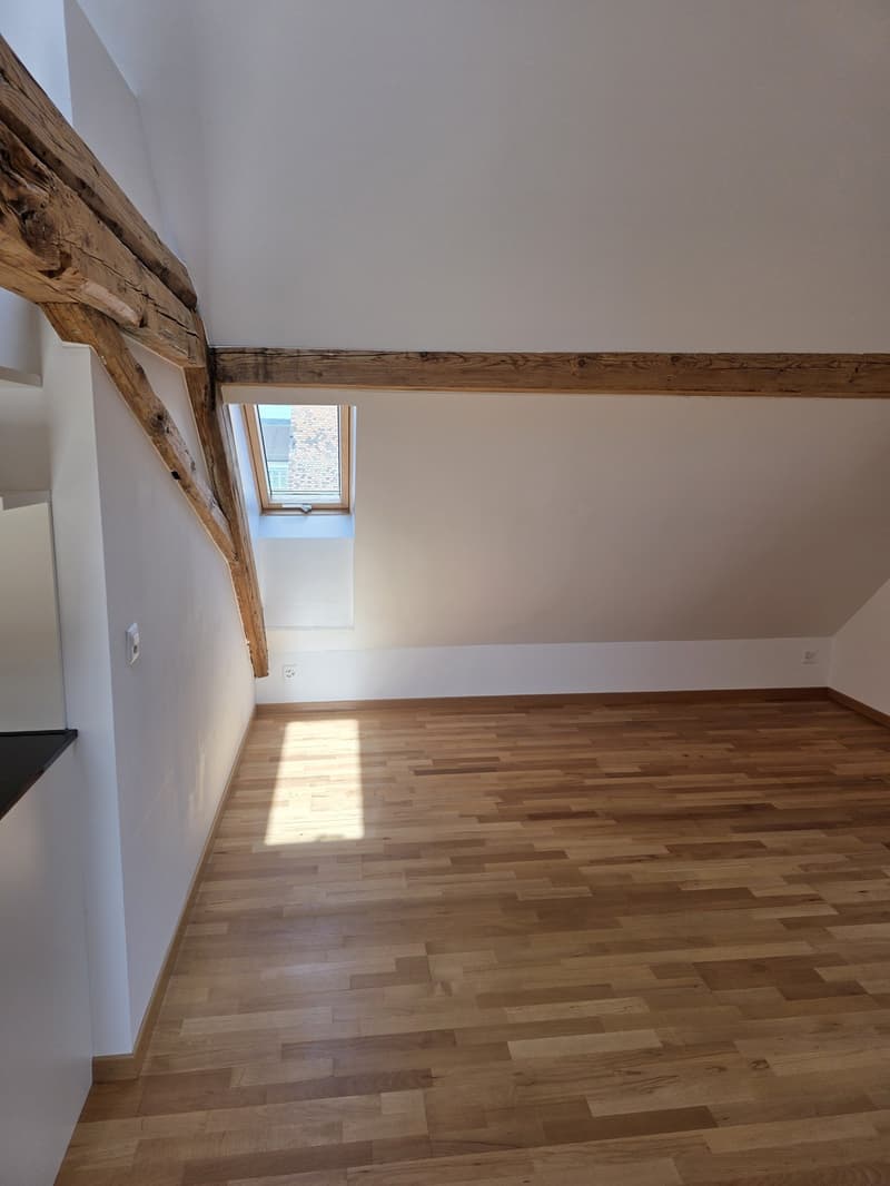 1 ½ Zimmer-Wohnung, 8500 frauenfeld (3)