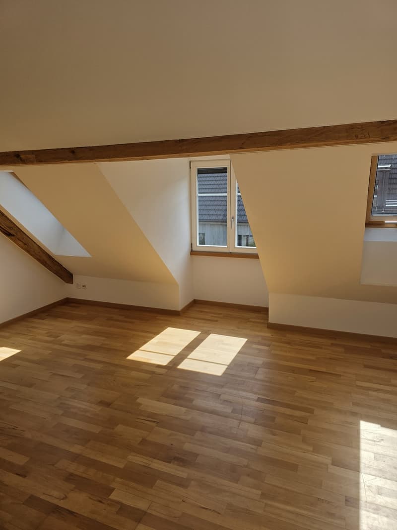 1 ½ Zimmer-Wohnung, 8500 frauenfeld (4)